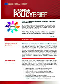 PIDOP Policy Briefing Paper No. 6